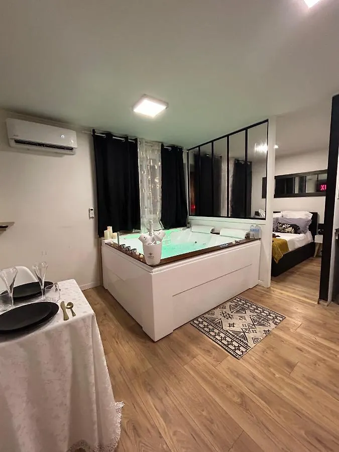 Love Room A Cannes - Appartement 25M2 Pour 2 Personnes Avec Un Jacuzzi Prive Apartment