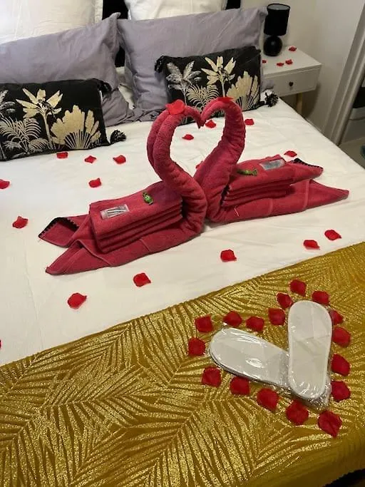 Love Room A Cannes - Appartement 25M2 Pour 2 Personnes Avec Un Jacuzzi Prive Apartment